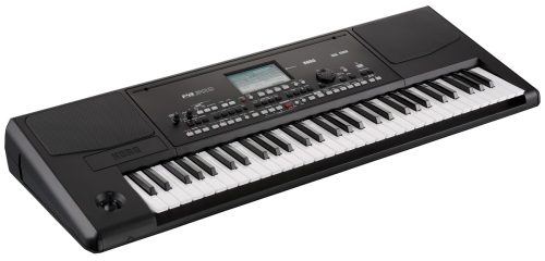 Korg Pa300 61 key Professional Arranger - Image 2