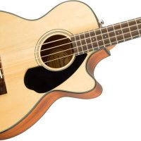 Acoustic Bass Guitars