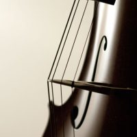 Cello Strings