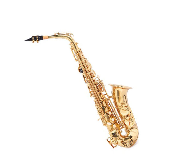 alto saxophone