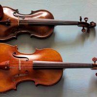 Violins