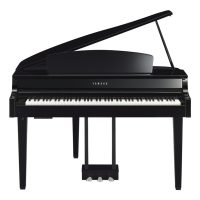 Digital Grand Pianos