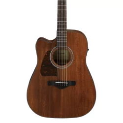 Ibanez AW54CE Acoustic-Electric Guitar - Open Pore Natural