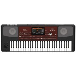 Korg Pa700 61-key Professional Arranger