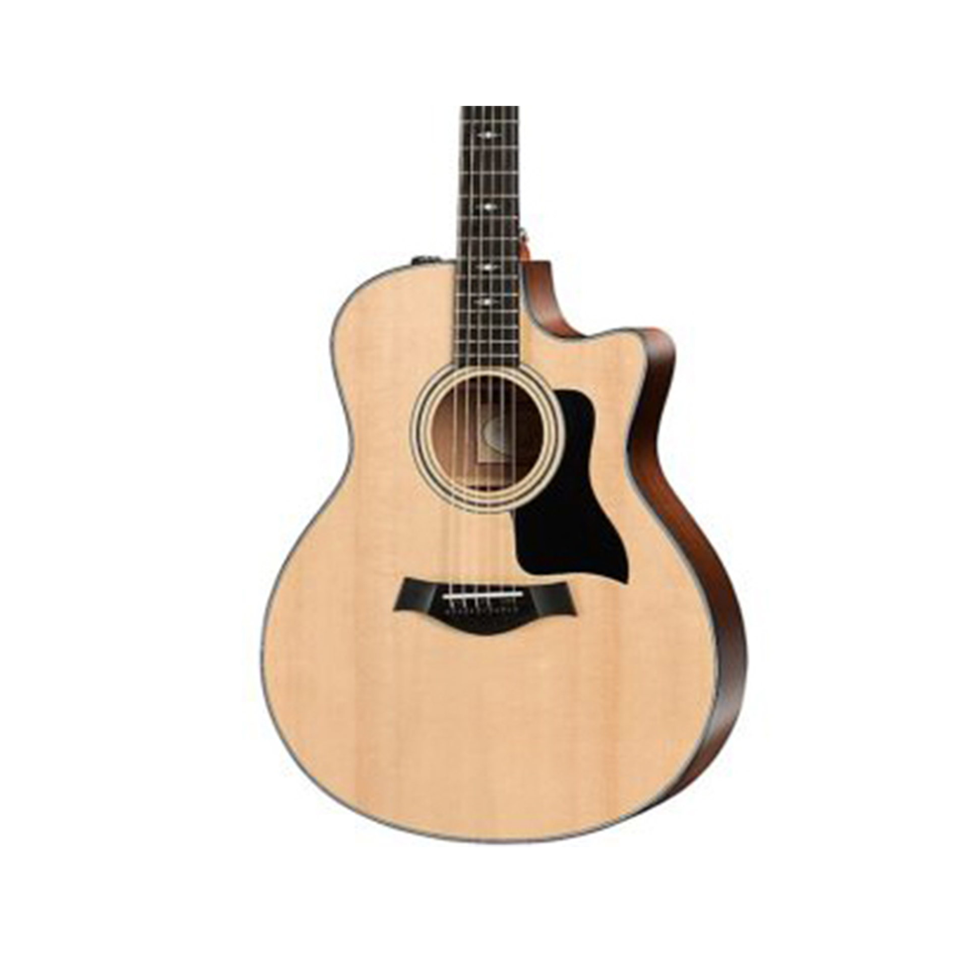 taylor 316ce grand symphony