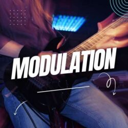 Modulation Pedals