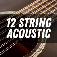 Acoustic 12 String