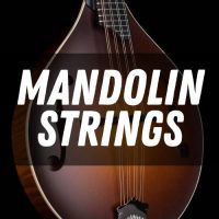 Mandolin Strings