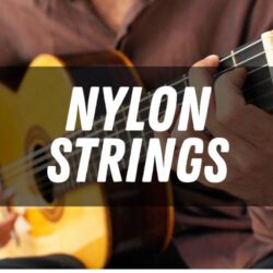 Nylon/Classical Strings