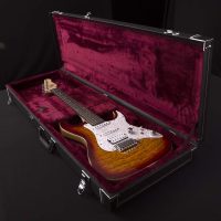 Electric Guitar Hard Cases