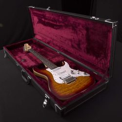 Electric Guitar Hard Cases