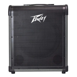 Peavey MAX 300 2x10 inch 300-watt Bass Combo Amp