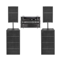 Celto Acoustique CT15V-CSW218C Bundle