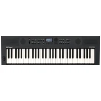 Roland GO KEYS 5 61-Key Keyboard - Graphite