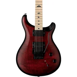 PRS DW CE 24 Floyd Electric Guitar - Waring Burst