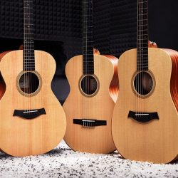 Acoustic Guitars