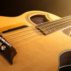 Acoustic Bass Guitars