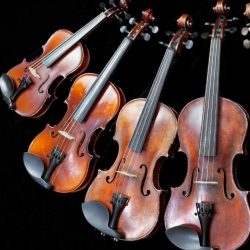 Acoustic Violins 3/4 -1/16